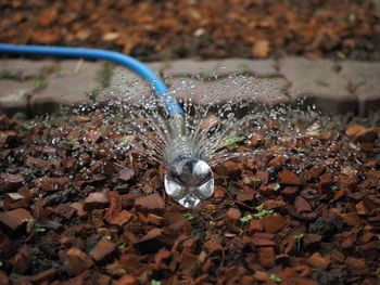 High angle view of water splashing on leaf