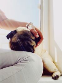 Midsection of woman with dog at home