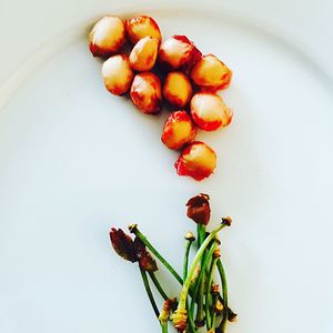 Close-up of tomatoes over white background