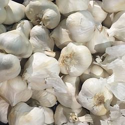 Full frame shot of food