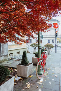 Bicycle on sidewalk by building in city