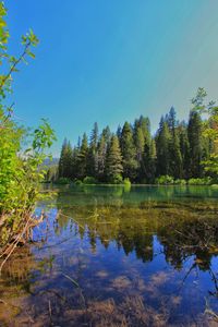 Scenic view of lake in forest against clear sky