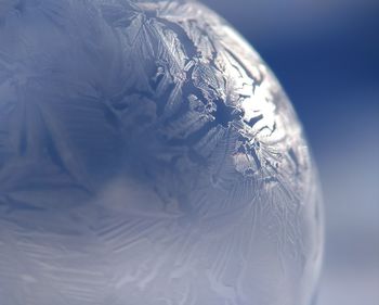 High angle view of feather on ice