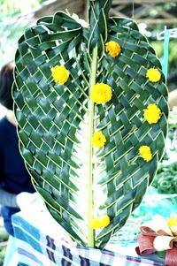 Close-up of yellow flowering plant