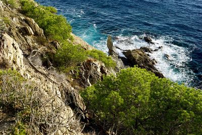 High angle view of sea by cliff
