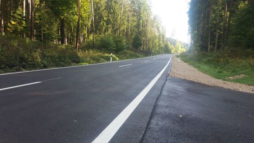 Empty road along trees in forest