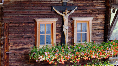 View of flowering plants against building