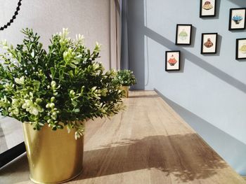 Potted plants on table at home