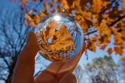 Cropped hand holding crystal ball against trees during autumn 