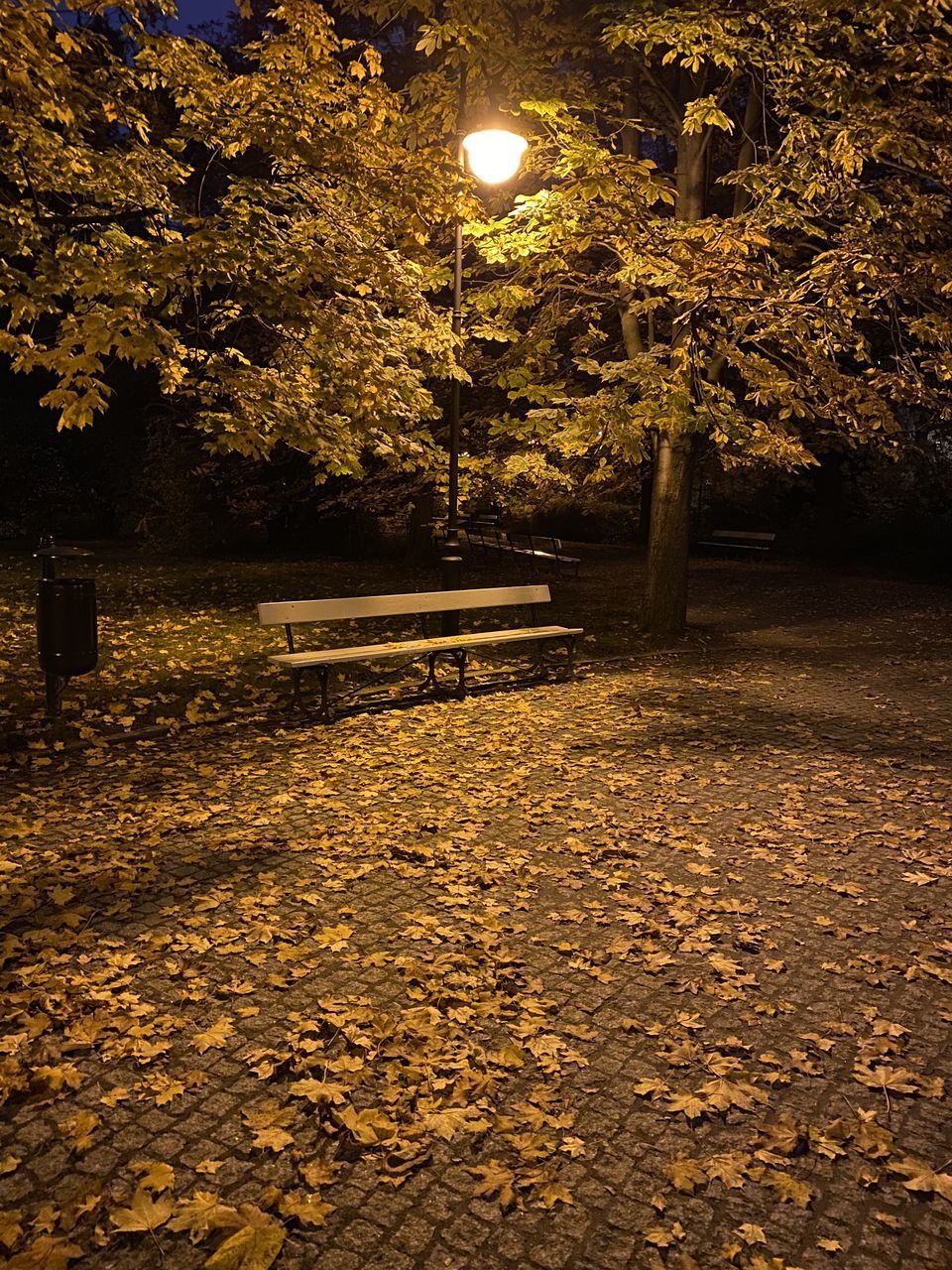 PARK BENCH BY AUTUMN LEAVES AT STREET