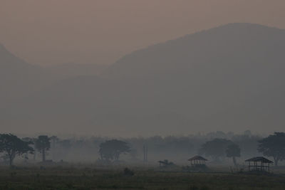 Scenic view of field against sky during foggy weather