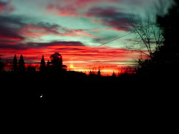 Silhouette of trees against dramatic sky