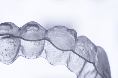 Close-up of water against white background