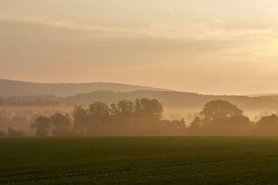 Scenic view of field against sky during sunset