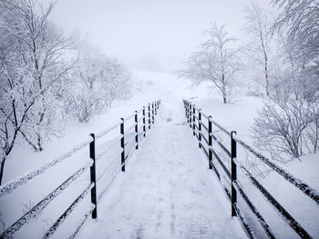 Snow covered fence against bare trees during winter