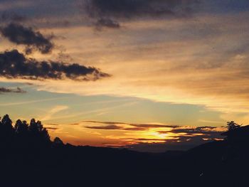 Silhouette of trees at sunset