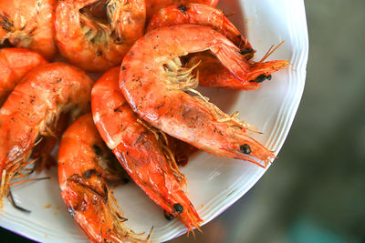 Close-up of seafood served in plate