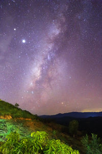 Scenic view of star field against sky at night