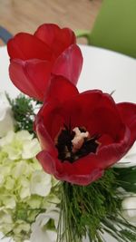 Close-up of red hibiscus blooming outdoors