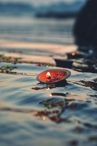 Close-up of leaf floating on water