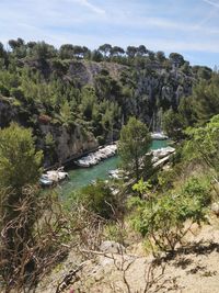 Scenic view of river amidst trees against sky