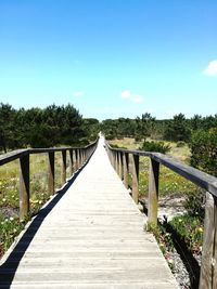 Narrow footbridge along plants and trees against sky