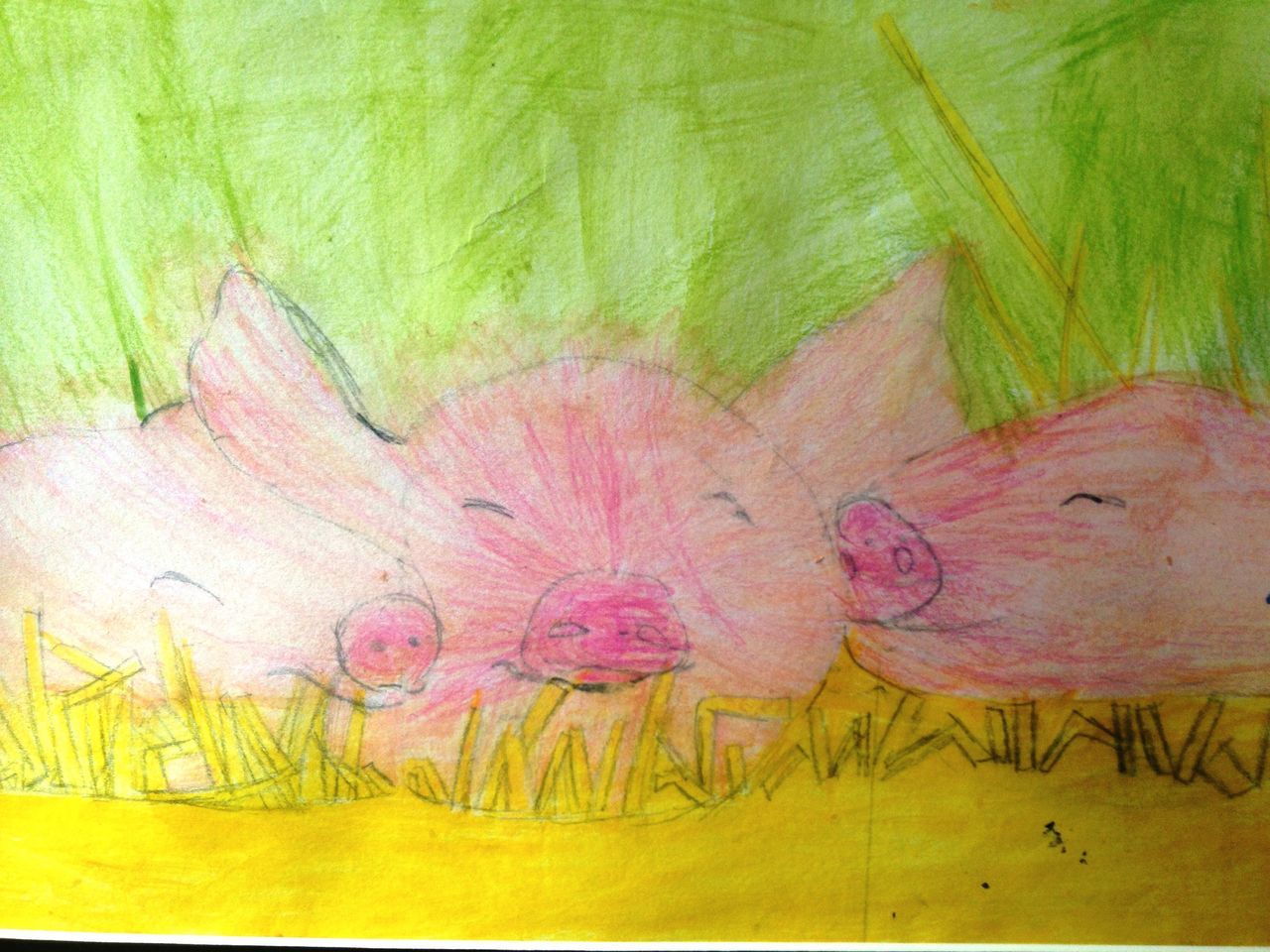 3 little pigs