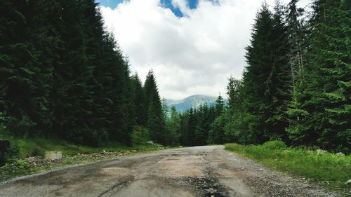 Road amidst trees in forest against sky