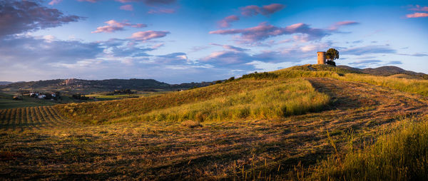 Scenic view of field against sky during sunset