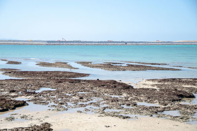 Scenic view of beach against clear sky