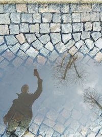 Reflection of trees in puddle