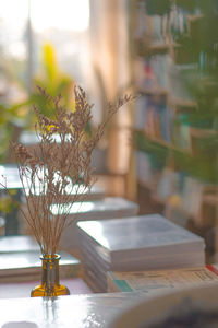 Close-up of vase on table