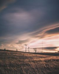 Scenic view of agricultural field against sky during sunset