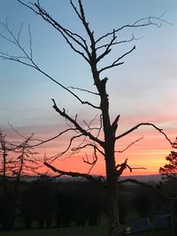 Silhouette bare tree against sky at sunset