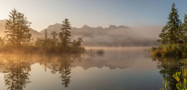 Reflection of trees in lake against sky