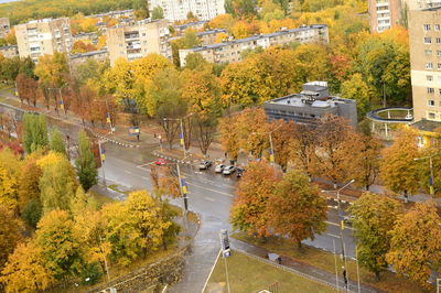 High angle view of autumn trees by road in city