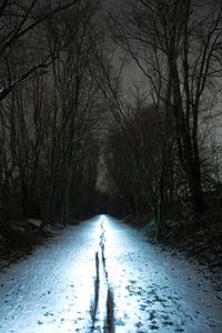 Bare trees on snow covered landscape