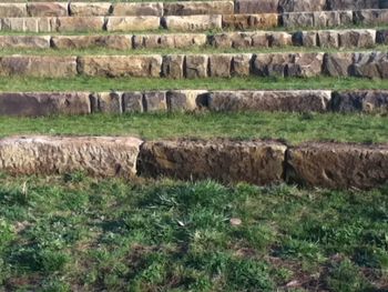 Hay bales in field