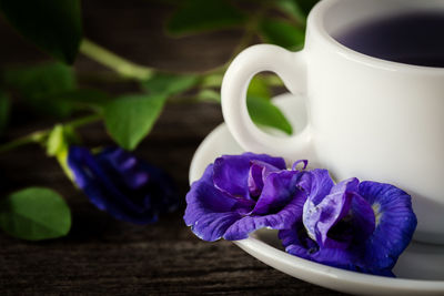 Close-up of purple flower on table