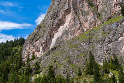 Low angle view of tree mountain against sky