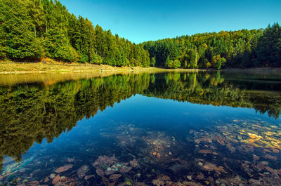 Scenic view of lake in forest against sky