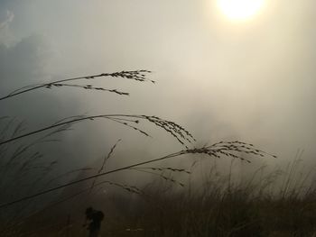 Scenic view of silhouette field against sky during sunset