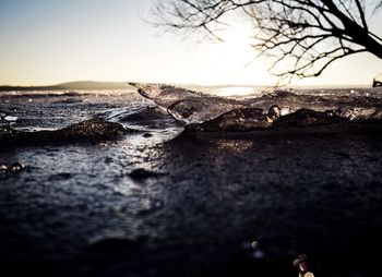 Close-up of crab on beach against sky during sunset