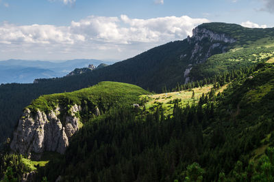 Scenic view of green landscape against sky