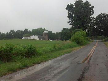 Empty road along trees