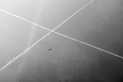 Low angle view of airplane flying in sky