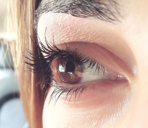 Close-up portrait of human eye