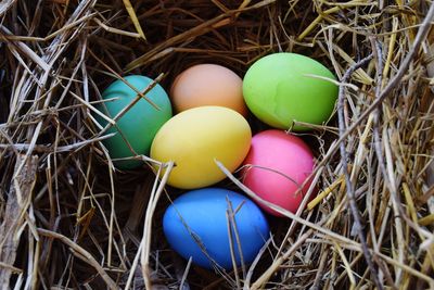 High angle view of easter eggs in nest