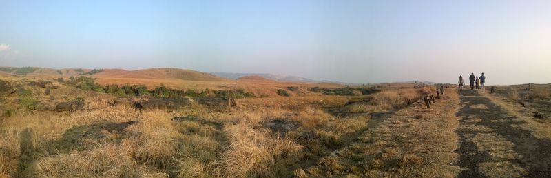 Scenic view of field against clear sky