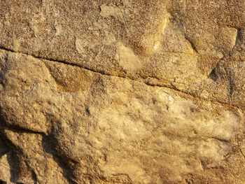 Full frame shot of rock on wall